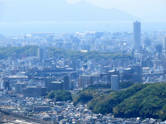 マツダスタジアム