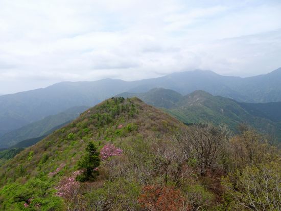 ニセ石山