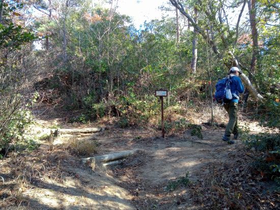 岩山コース分岐