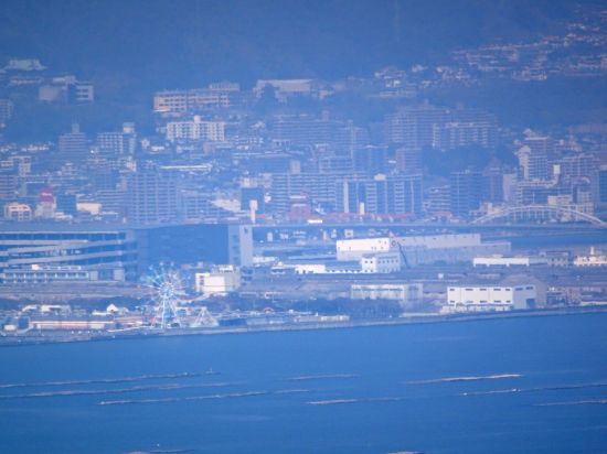 マリーナホップ