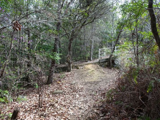 コンクリート道