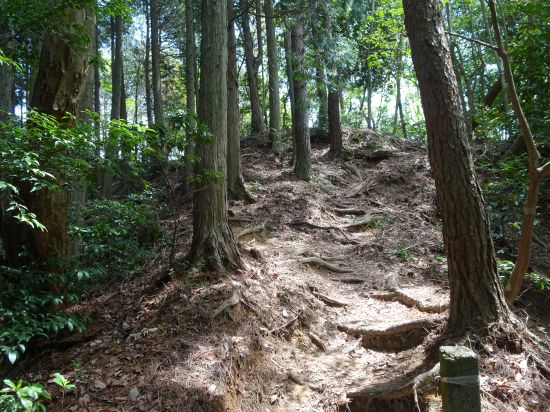 ショートカット