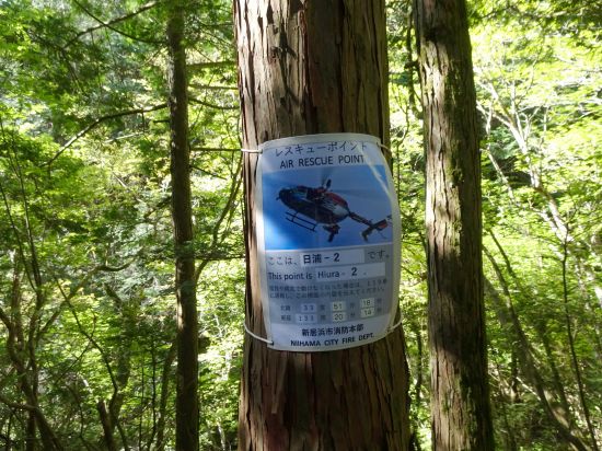 レスキューポイント