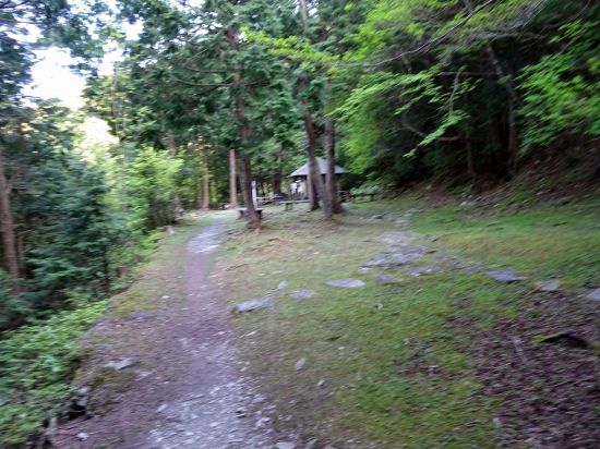 ダイヤモンド水