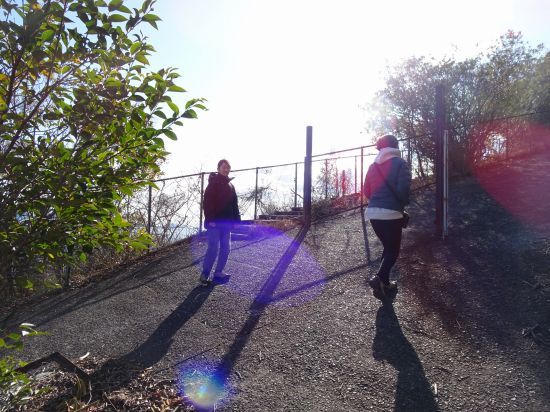 コンクリート道