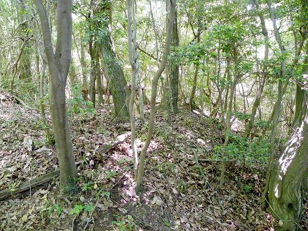 神宮寺山城跡